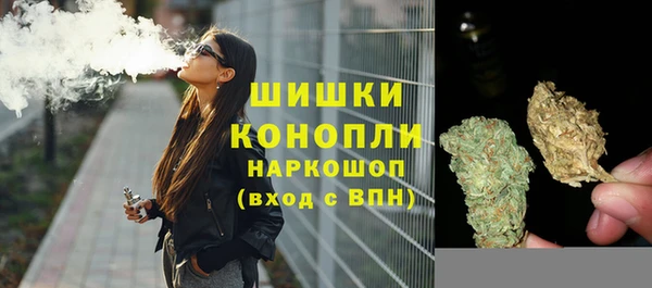 прущие грибы Липки