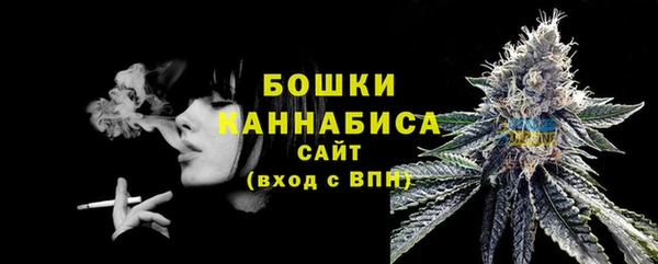 спиды Магас