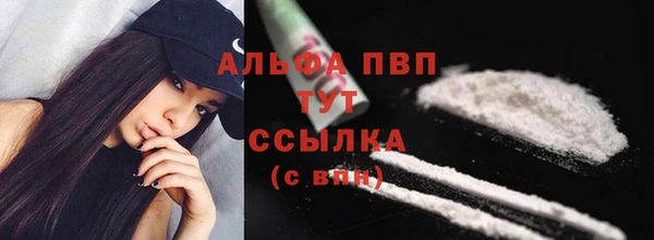 прущие грибы Липки