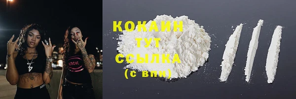 прущие грибы Липки